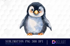Cute Penguin Watercolor Clipart Product Image 1