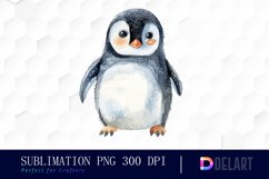 Cute Penguin Watercolor Clipart Product Image 1