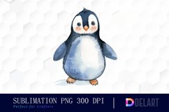 Cute Penguin Watercolor Clipart Product Image 1