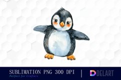 Cute Penguin Watercolor Clipart Product Image 1