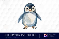Cute Penguin Watercolor Clipart Product Image 1
