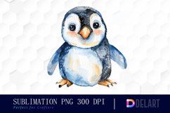 Cute Penguin Watercolor Clipart Product Image 1