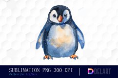 Cute Penguin Watercolor Clipart Product Image 1