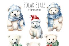 Polar Bears Product Image 2