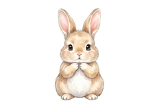 Cute Rabbit Png | Cute Safari Png Product Image 1