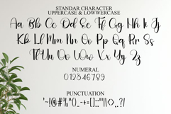 Cute Rabbit Product Image 7