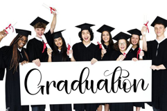 Cute Rabbit Product Image 3