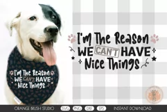 Cute Reason Dog Bandana Quote SVG Pet Design Cricut For DIY
