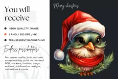 Cute Robin clipart, Christmas Animals PNG for Sublimation Product Image 2