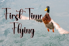 Cute Santa Product Image 5