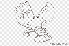 Lobster pinching clam line art SVG summer clipart illust PNG Product Image 1
