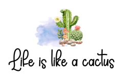 Cute Single Product Image 3