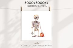 Cute Skeleton Skull Halloween Creepy Clipart PNG Scrapbook Fairy Tale Art Image Watercolor Transparent Print illustration sublimation creepy printable digital watercolor Floral Skeleton Skull, spooky clipart, nursery, Creepy halloween decoration art image