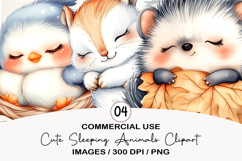 Cute Sleeping Animals Clipart Product Image 1