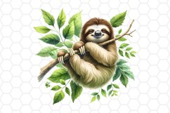 Cute Sloth Watercolor Clipart Sloth Sublimation PNG