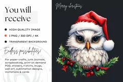 Cute Snow owl, Christmas Animal PNG for Sublimation Product Image 2