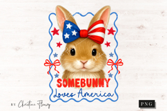 Somebunny Loves America Funny PNG | 4th Of July PNG Product Image 4