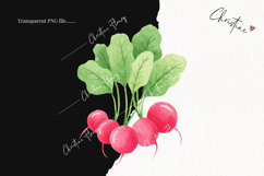 Watercolor Cute Spring Clipart | Spring PNG Product Image 2