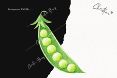 Watercolor Cute Spring Clipart | Spring PNG Product Image 2