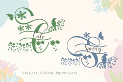 Wonderful Monogram Fonts &amp; Graphics Bundle Product Image 4