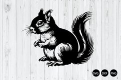 cute squirrel SVG, squirrel SVG, Animal SVG Product Image 1