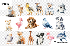 Cute Watercolor Animals Clipart Adorable Forest Bundle 49 Product Image 3