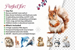 Cute Watercolor Animals Clipart Adorable Forest Bundle 49 Product Image 2