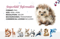 Cute Watercolor Animals Clipart Adorable Forest Bundle 49 Product Image 5
