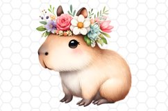 Cute Watercolor Capybara Clipart Capybara PNG Design