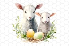 Cute Watercolor Easter Lamb Sublimation Clipart