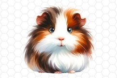 Cute Watercolor Guineapig Clipart Sublimation