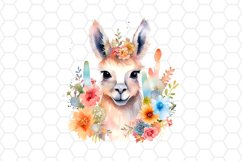 Cute Watercolor Llama Clipart
