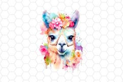 Cute Watercolor Llama Clipart