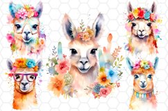 Cute Watercolor Llama Clipart