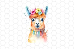 Cute Watercolor Llama Clipart