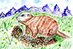 Cute groundhog drawing Product Image 1