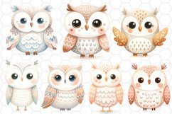 Cute Watercolor Owl Clipart Bundle PNG Designs