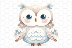 Cute Watercolor Owl Clipart Owl PNG Design