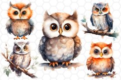 Cute Watercolor Owl Cliparts Sublimation PNG