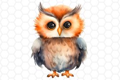 Cute Watercolor Owl Sublimation Clipart 