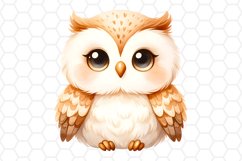 Cute Watercolor Owl Sublimation Clipart