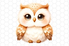 Cute Watercolor Owl Sublimation Clipart