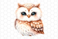 Cute Watercolor Owl Sublimation Clipart