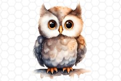 Cute Watercolor Owl Sublimation Clipart 