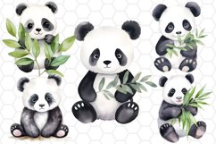 Cute Watercolor Panda Sublimation Cliparts