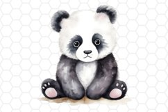 Cute Watercolor Panda Sublimation Cliparts