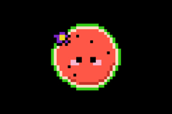 Cute watermelon character illustration pixel art design Product Image 2