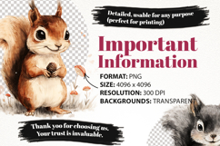 Cute Woodland Squirrel Clipart Bundle 40 PNG Product Image 6