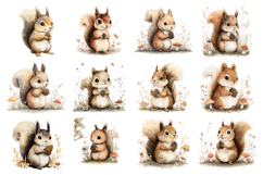 Cute Woodland Squirrel Clipart Bundle 40 PNG Product Image 2