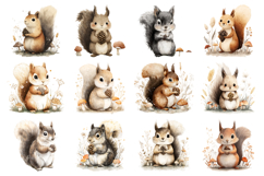 Cute Woodland Squirrel Clipart Bundle 40 PNG Product Image 3